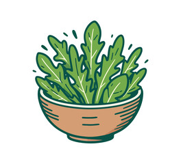 arugula leaf hand drawn vector illustration