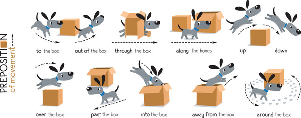 Preposition of movement. Dog and the boxes