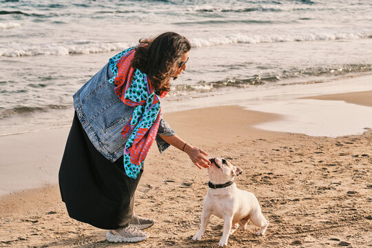 An outdoor photo of a woman walking along the sea beach on a sunny day during sunset, keeping her French bulldog on a leash. French bulldog on the beach. 