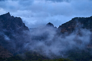 Spain Andalucia spring surrounding lonely tree mountains clouds tunnel