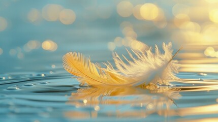 A white feather floating on top of a body of water.
