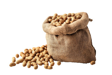 Nuts in burlap bag on transparent background