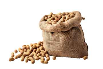 Nuts in burlap bag on transparent background