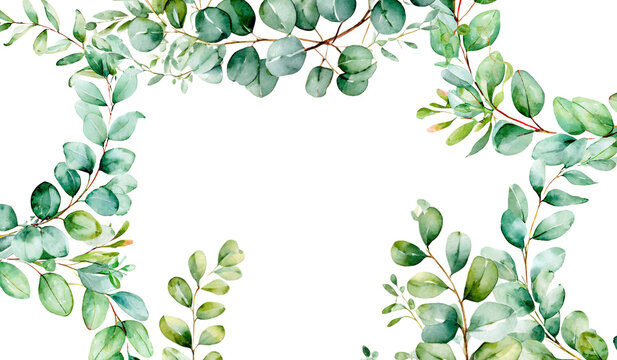 watercolor floral frame with eucalyptus green leaves and branch on transparent backgrund, hand draw, for wedding invitation, greeting and design template