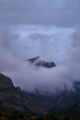 Spain Andalucia spring surrounding lonely tree mountains clouds tunnel