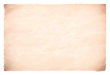 Vector old parchment paper sheet vintage aged or texture isolated on white background.