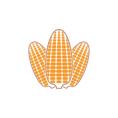 Corn illustration vector