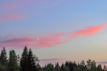 Evening landscape - pink sky and transparent crescent moon, forest in the foreground