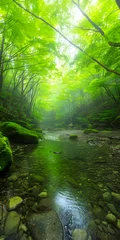 Rolgordijnen Floresta Verdejante com Riacho Sereno © Alexandre