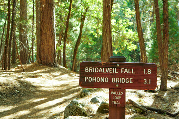 ヨセミテ国立公園内のハイキングコース上にある案内板