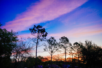 beautiful florida community sun rise