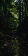 Tarde tranquila na floresta com um riacho cristalino