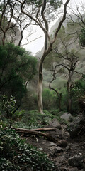Montanhas Envolvidas em Neblina na Floresta Serena