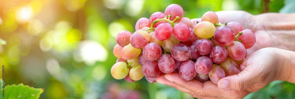 Poster hand holding grapes with selection on blurred background, copy space for text placement