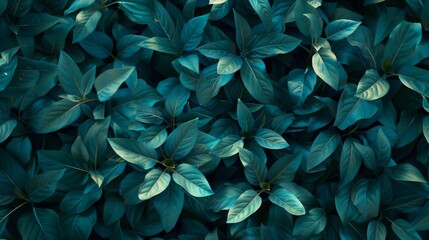 A captivating photo showcasing a background of lush leaves, embodying aesthetic minimalism. The wallpaper features a palette of dark sage colors, offering a serene and sophisticated vibe. - obrazy, fototapety, plakaty