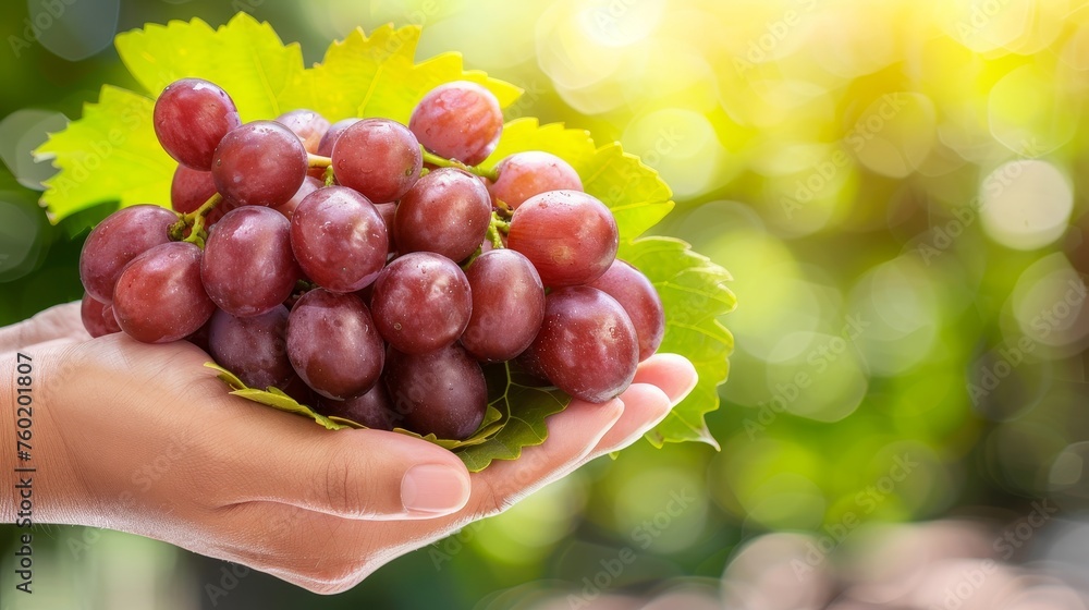 Poster hand holding fresh grapes against blurred background with ample copy space for text placement