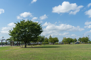 真夏の青空と緑の公園(越谷市)