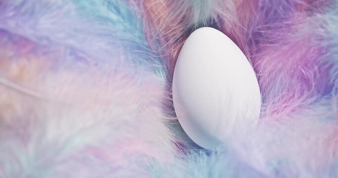 Soft fluffy pastel feathers blowing in the wind with a single white Easter Egg. Gentle Easter theme with egg in delicate nest of feathers.