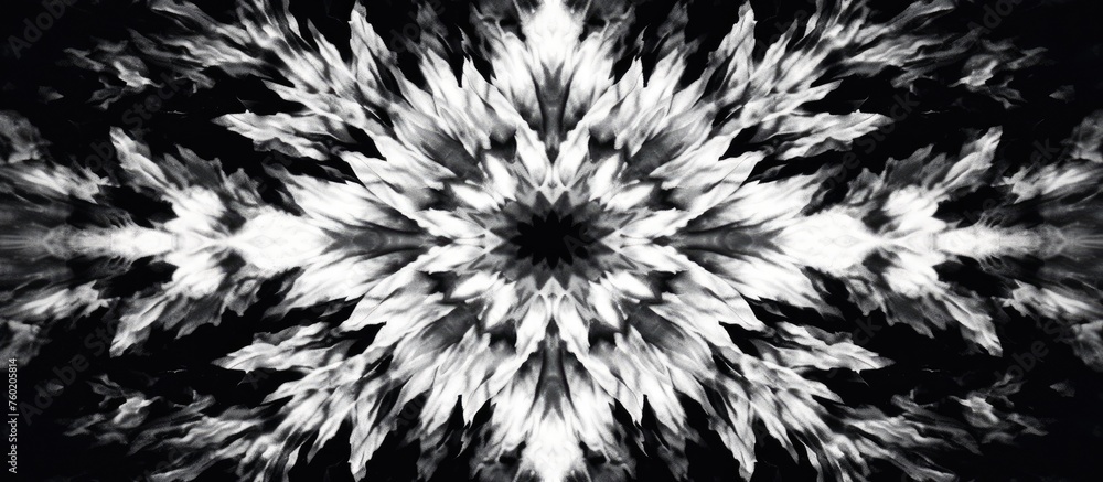 Poster monochromatic image featuring the intricate symmetry of a snowflake against a dark background, resem