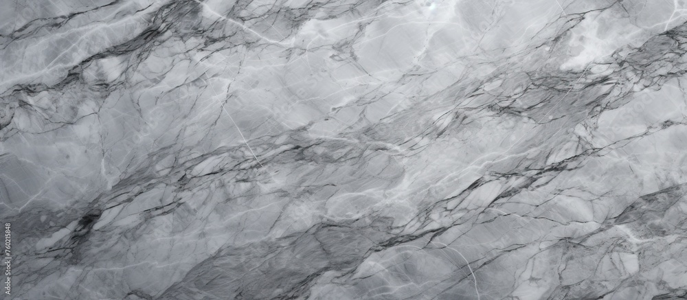 Poster Elegant Black and White Marble Texture on a Luxurious Marble Background