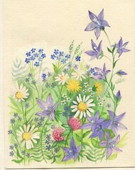Watercolor vintage flowers 