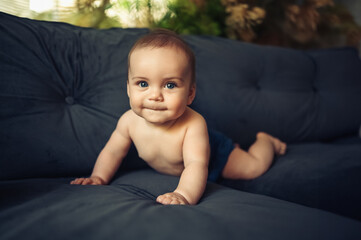 Cute emotional smiling funny infant boy sitting on straight arms on dark grey deep navy blue couch sofa. Baby facial expressions. Healthy child. Home comfortable furniture, happy family concept. 