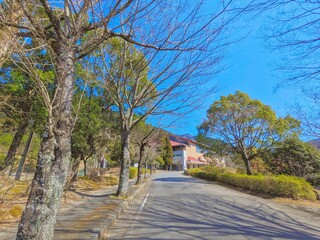 日本の地方の山間部の田舎にある公園の通路の風景