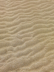 Fototapeta na wymiar Sand dunes on a beach on the Atlantic coast of Argentina