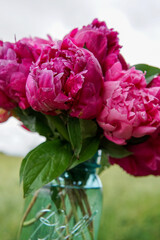 Peonies After Rain