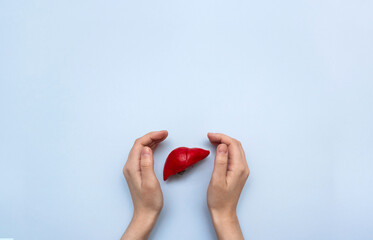 Anatomical model of the liver organ and human hands on a blue background. World Hepatitis Day...