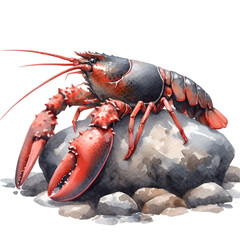 A red lobster stands alone on a rock.