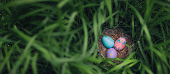 Nest of colorful Easter Eggs hidden tall grass found during Easter Egg hunt search.