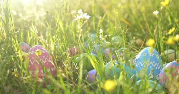 Colorful vibrant Easter Eggs hidden in flowery meadow for Easter Egg hunt.