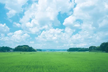Foto op Canvas 田舎の田んぼと青空 © 七海 磯部