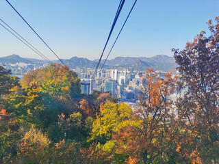 Fall maple leaves foliage Autumn with city apartments scene and cable car tower in Seoul, South...