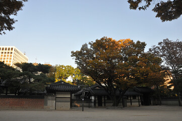 SEOUL, SOUTH KOREA - OCTOBER 25, 2022: Unhyeongung palace calm and serene quiet evening scene with traditional Hanok buildings. There is nobody in the scene.