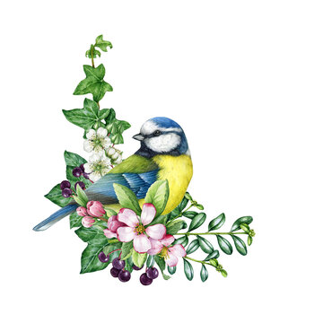 Spring season vintage style decor with bird and flowers. Watercolor illustration. Hand drawn blue tit bird, garden flowers, elderberry, ivy, leaves element. Springtime painted cozy decor isolated