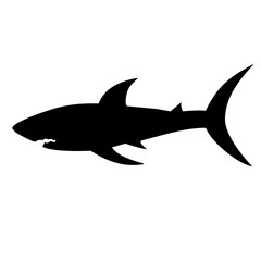 shark silhouette icon