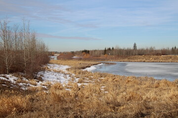 Melting Wetlands, Pylypow Wetlands, Edmonton, Alberta