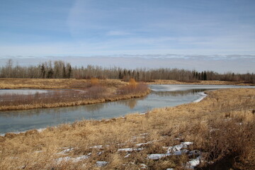 Melting Spring, Pylypow Wetlands, Edmonton, Alberta