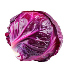 Obraz premium red cabbage isolated on white, isolated on transparent background Remove png, Clipping Path, pen tool