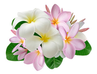 Tropical bouquet with frangipani flowers for greeting card, wedding, wallpaper isolated on transparent background.