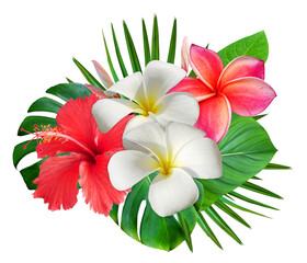 Tropical summer bouquet with frangipani flowers and hibiscus flower isolated on trandparent background. Hawaiian style floral arrangement