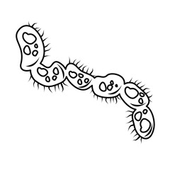 Outline Microorganism Bacteria Vector Design