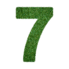 Realistic grass texture number 7, seven png, transparent background