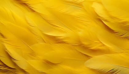 yellow feathers background