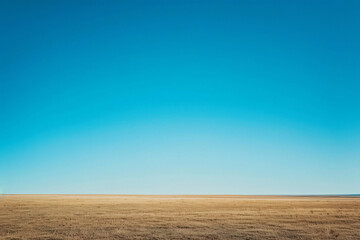 a lone cow standing in a field with a blue sky