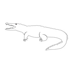 Crocodile icon