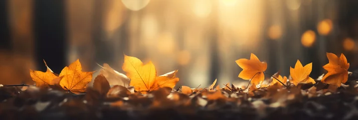 Fototapeten Autumn Background with Golden Autumn Leaves Falling On The Ground © Tabinda
