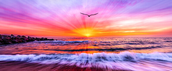 Bird Sunset Flying Ocean Beach banner header Soaring Silhouette Inspiration Seascape